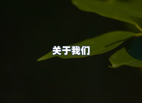 关于我们
