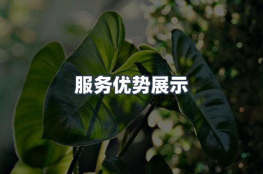 服务优势展示